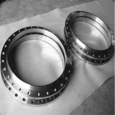 high quality dn50 titanium flange price